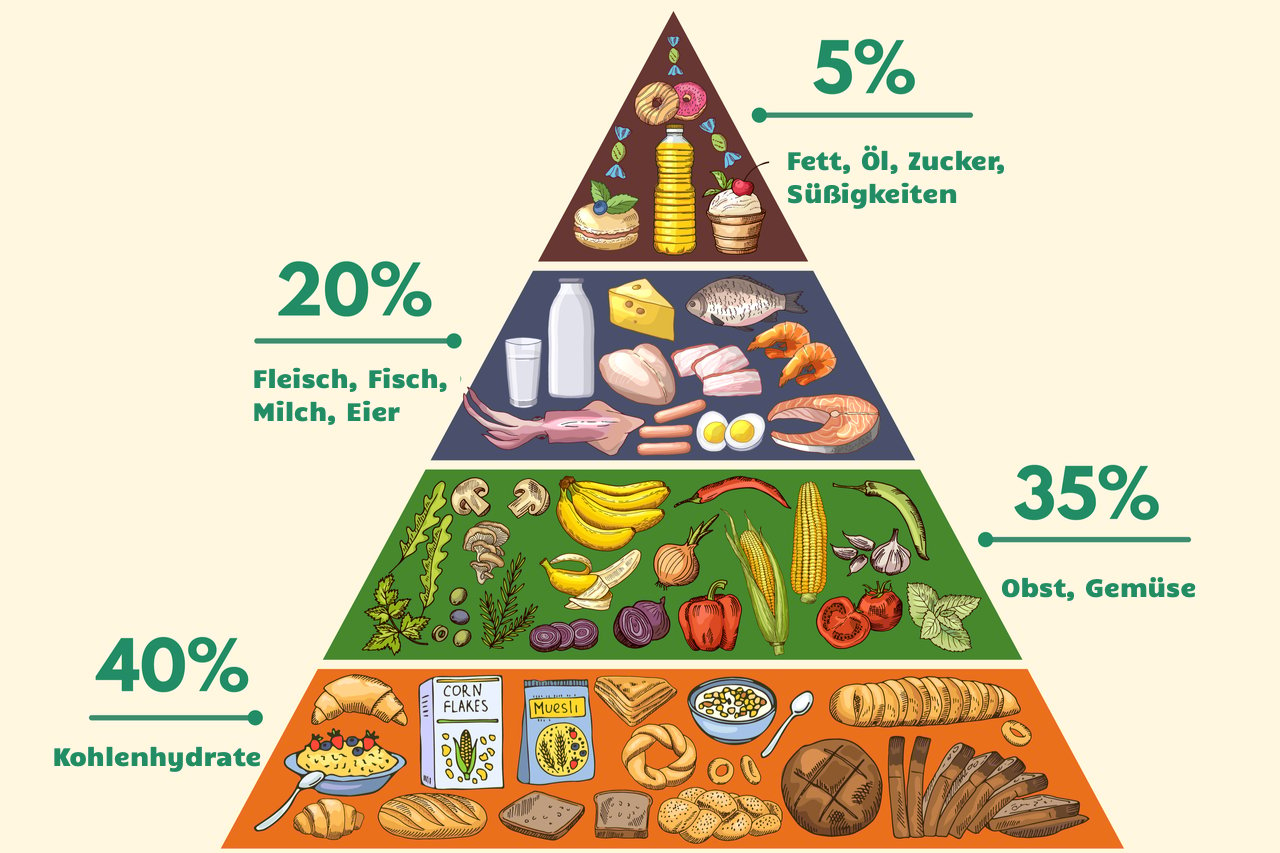 So ist die Ernährungspyramide aufgebaut. 